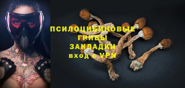 ешки Алексин