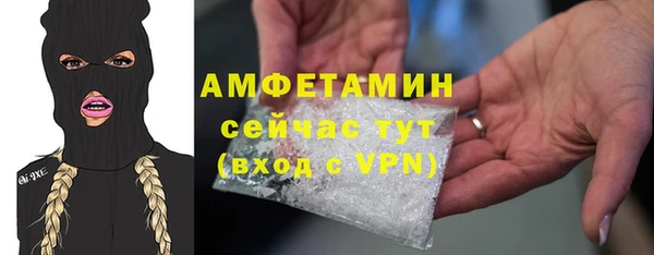 ешки Алексин