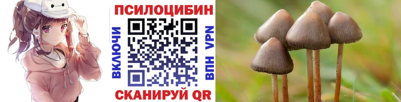 хочу   Челябинск  darknet телеграм  Галлюциногенные грибы мухоморы 